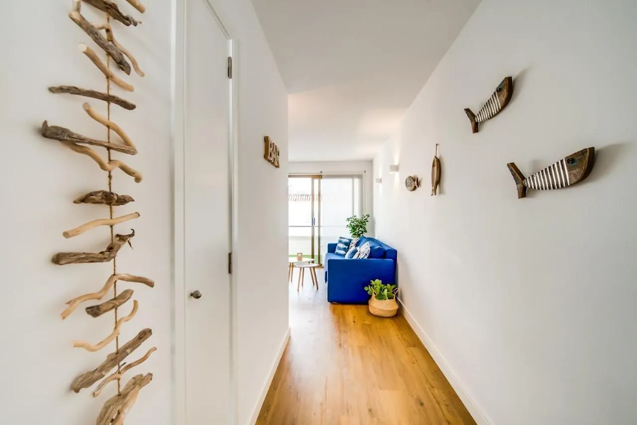 Ideal Property Mallorca - Balaixa 8 Apartment Port de Pollenca 0*,  Spain